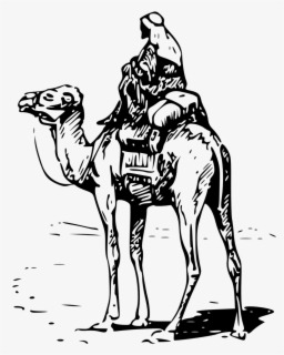 dark web silk road