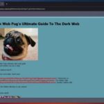 Access The Dark Web Reddit