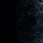 Dark Web Markets 2023