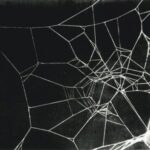 Buy Drugs Darknet
