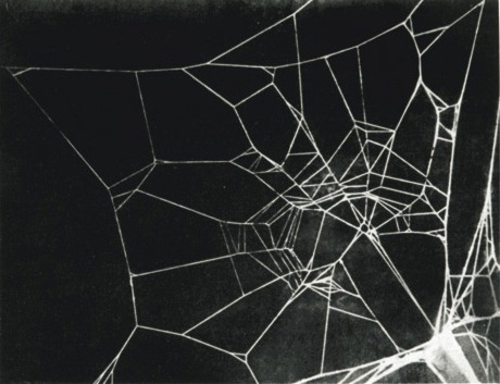 Buy Drugs Darknet