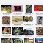 Accessing Darknet Market