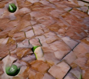 onion Links