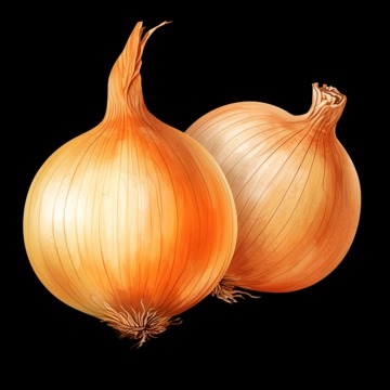 .onion links