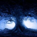 Dark Web Markets 2025 Australia