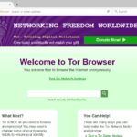Accessing Dark Web