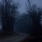 Dark Web Legit Sites