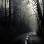 Dark Web News