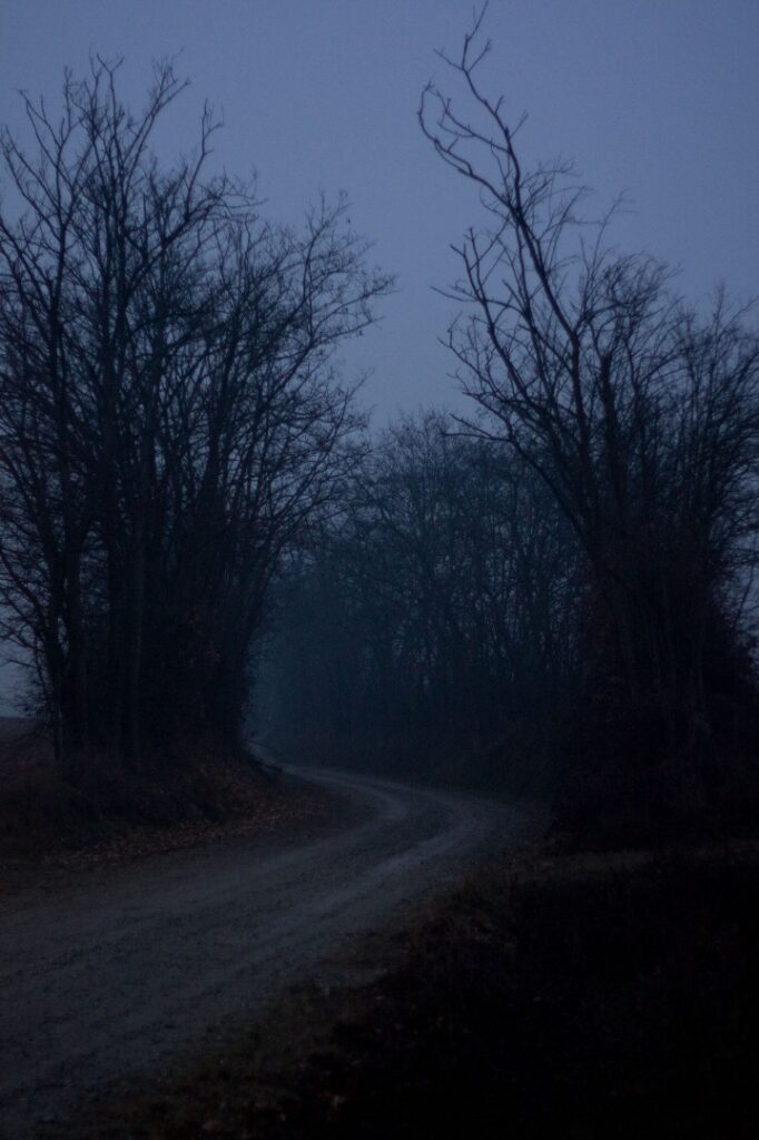 Dark Markets Ukraine