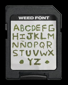 dark web weed