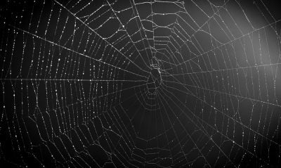Dark Web Sites Xxx